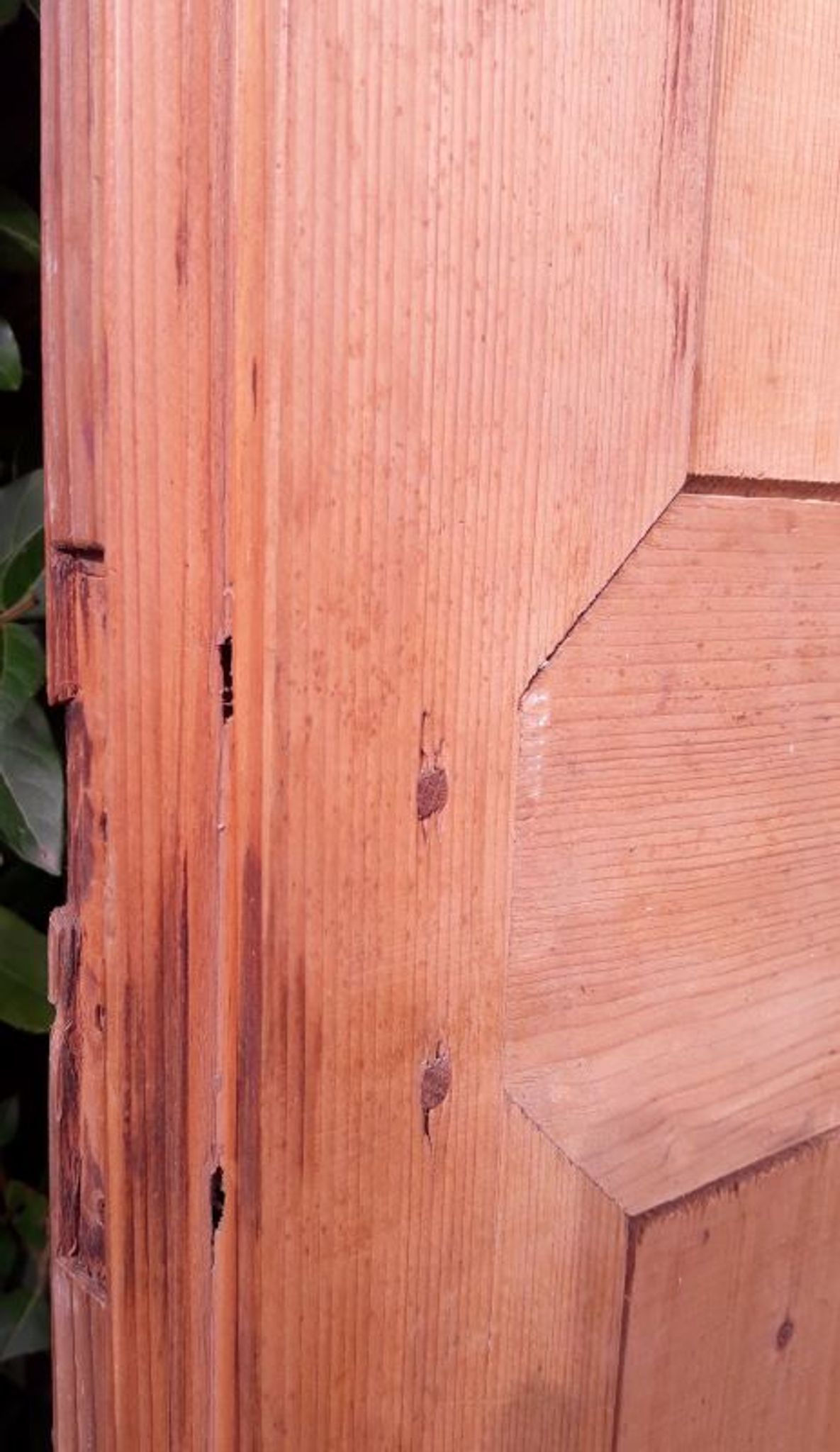 Paire de portes 248x129cm anciennes