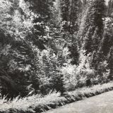 Ancienne photographie montagne noir et blanc XXL