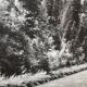 Old XXL black and white mountain photography