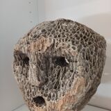 Coral mask