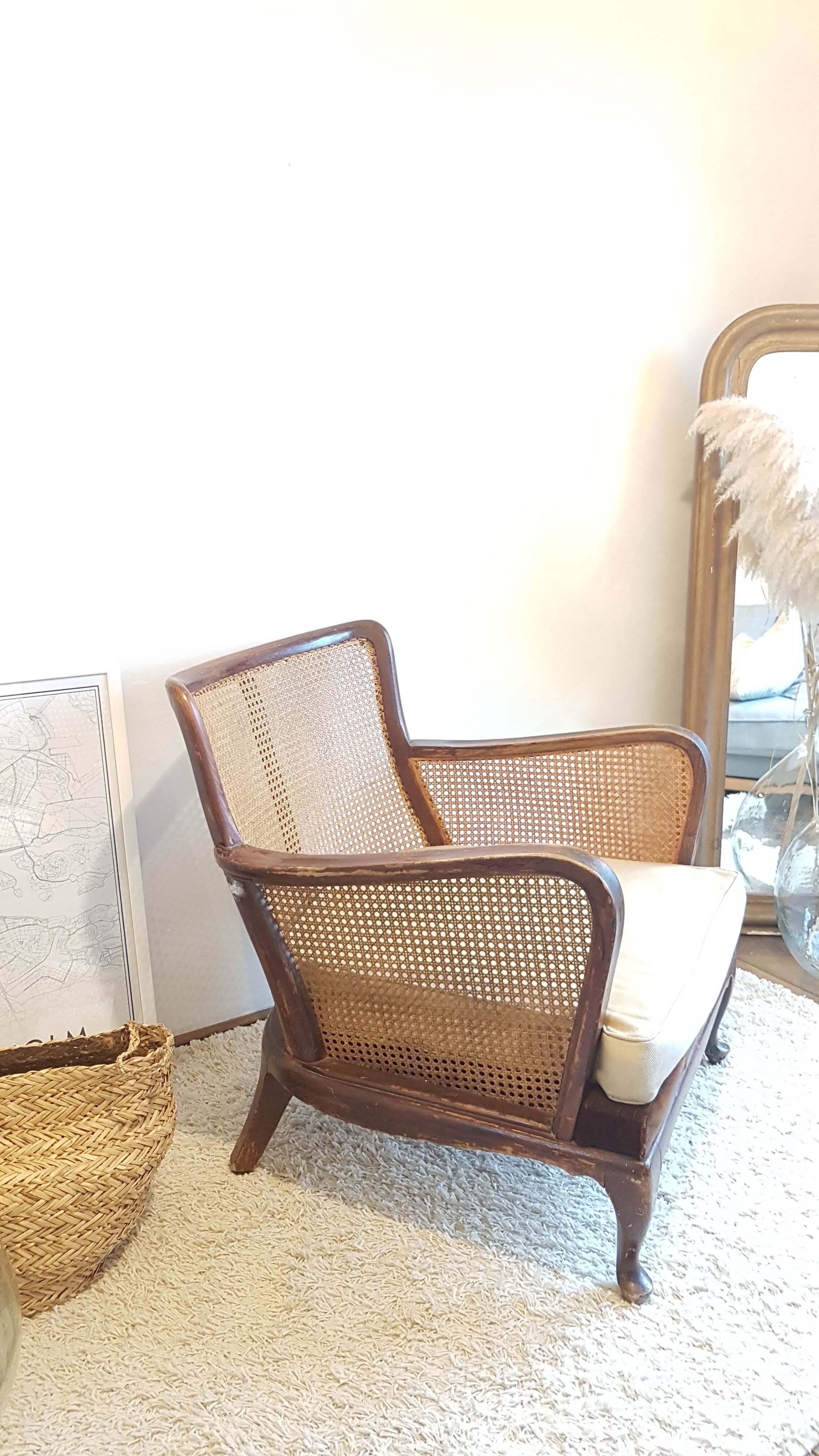 Steiner canna armchair