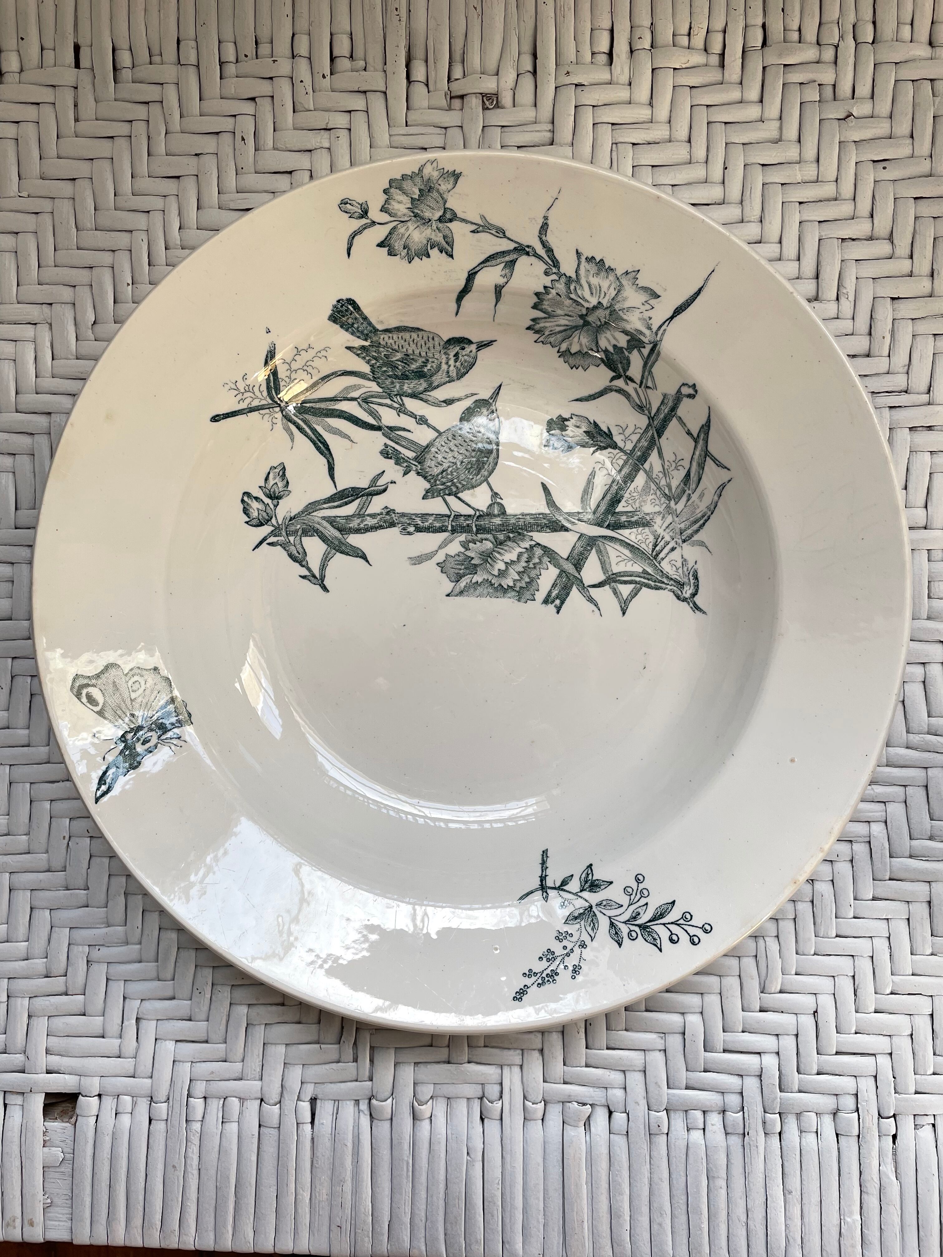 Hollow dish Saint Amand & Hamage "Aucella"