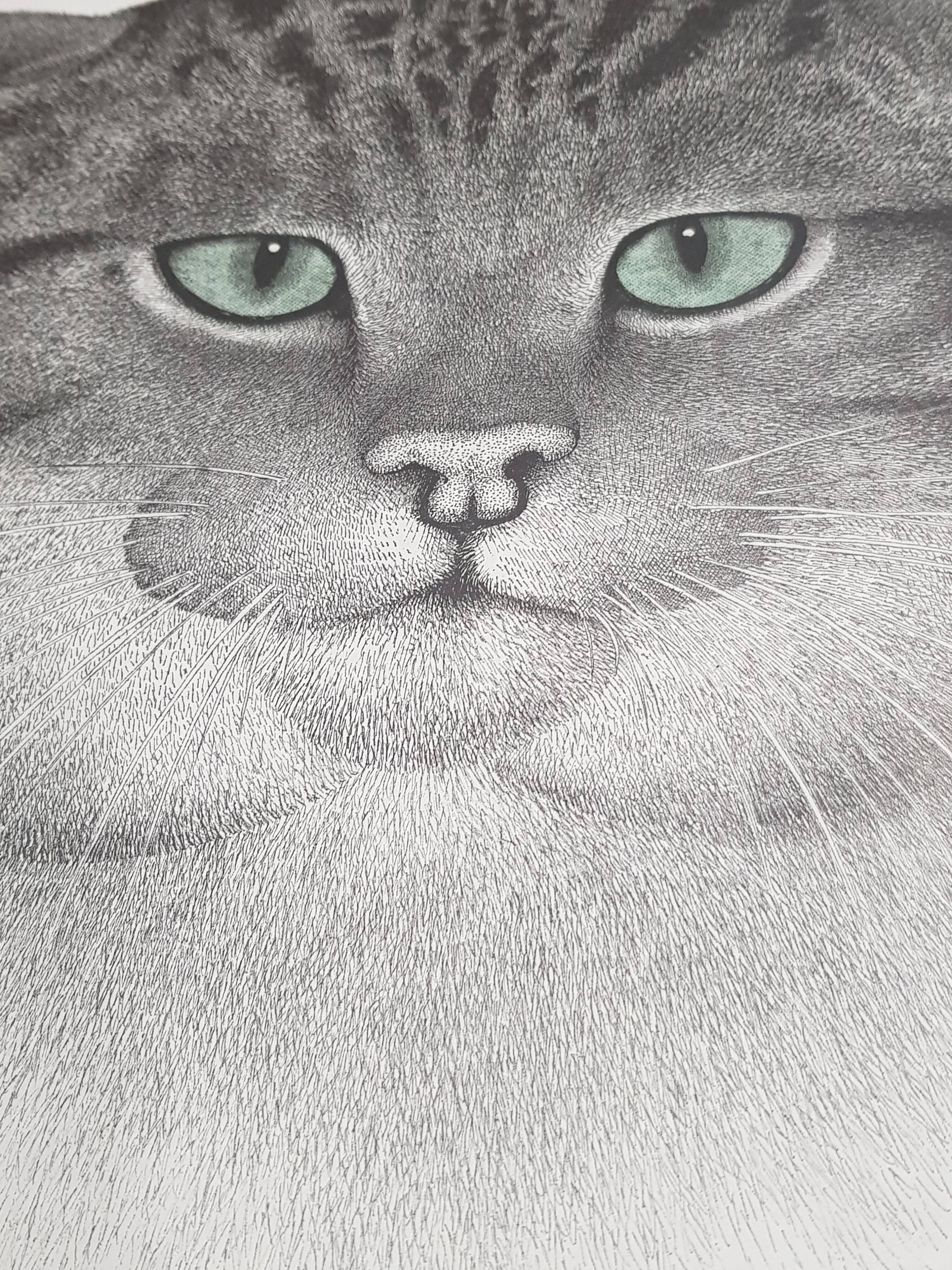 70's wild cat protection poster