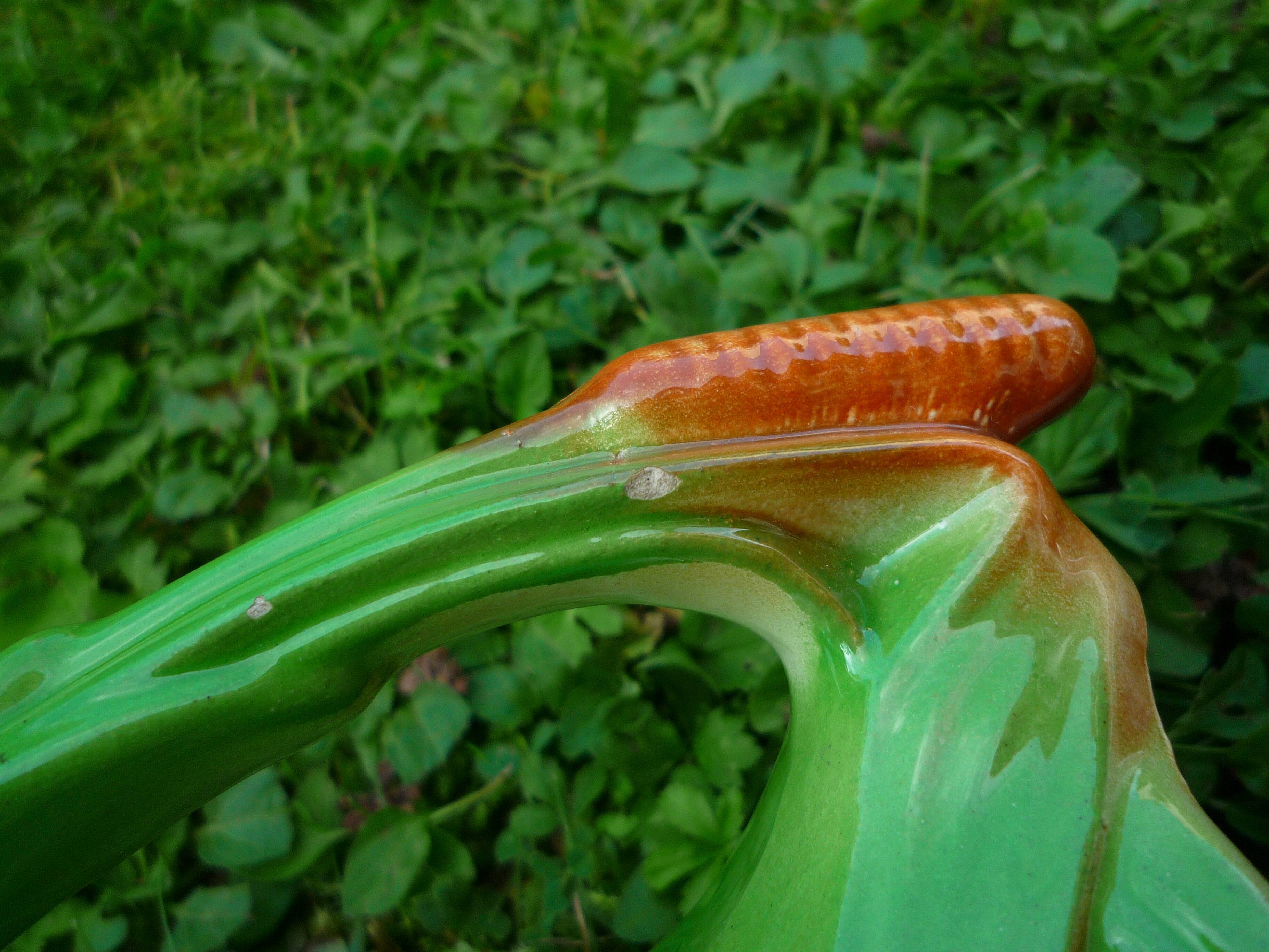 Pitcher duck slurry Saint-Clément