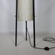 Fiberglass Floor Lamp Design Dame & Co 1960s
