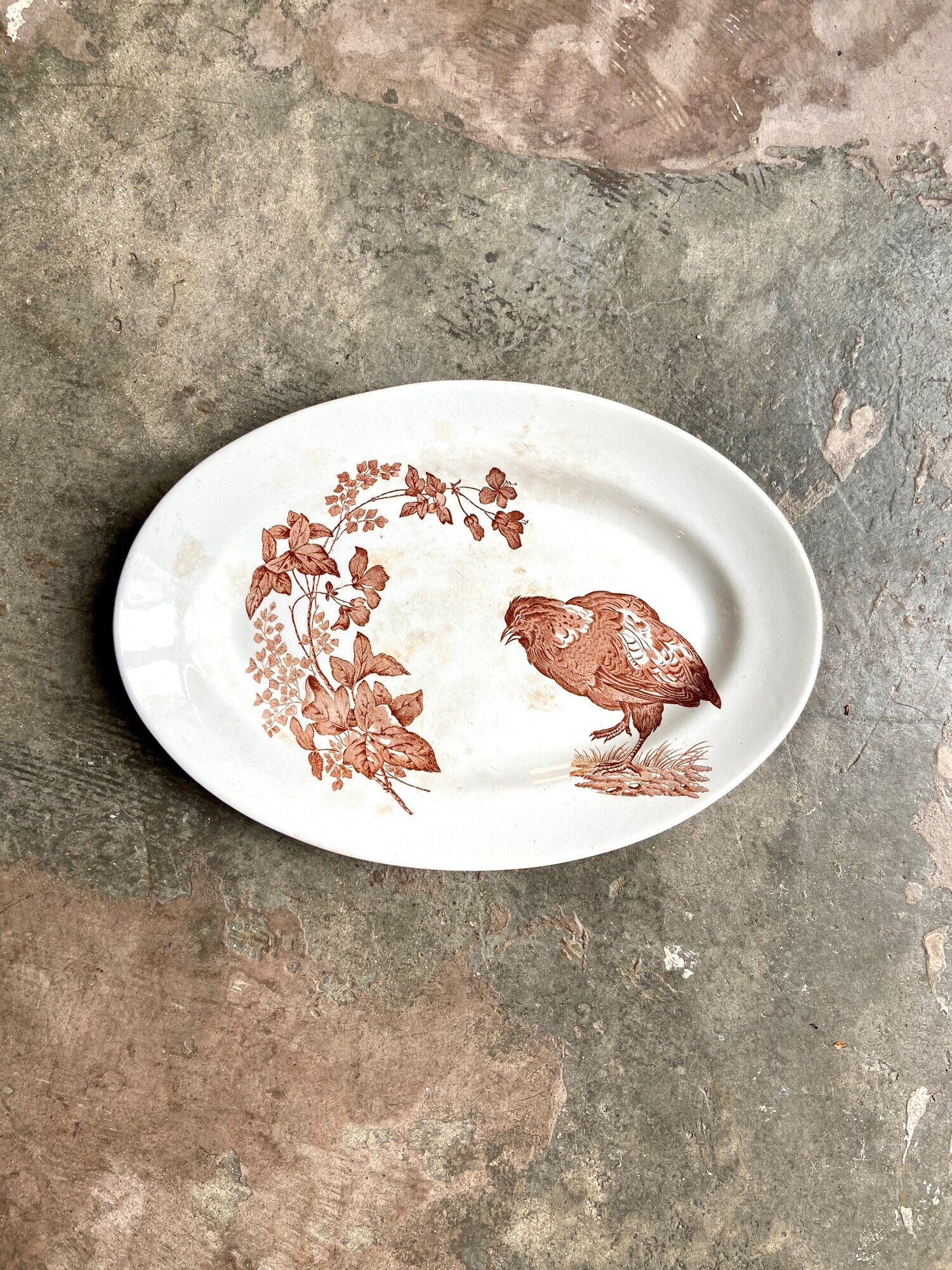 Longwy oval dish in white and brown iron earth