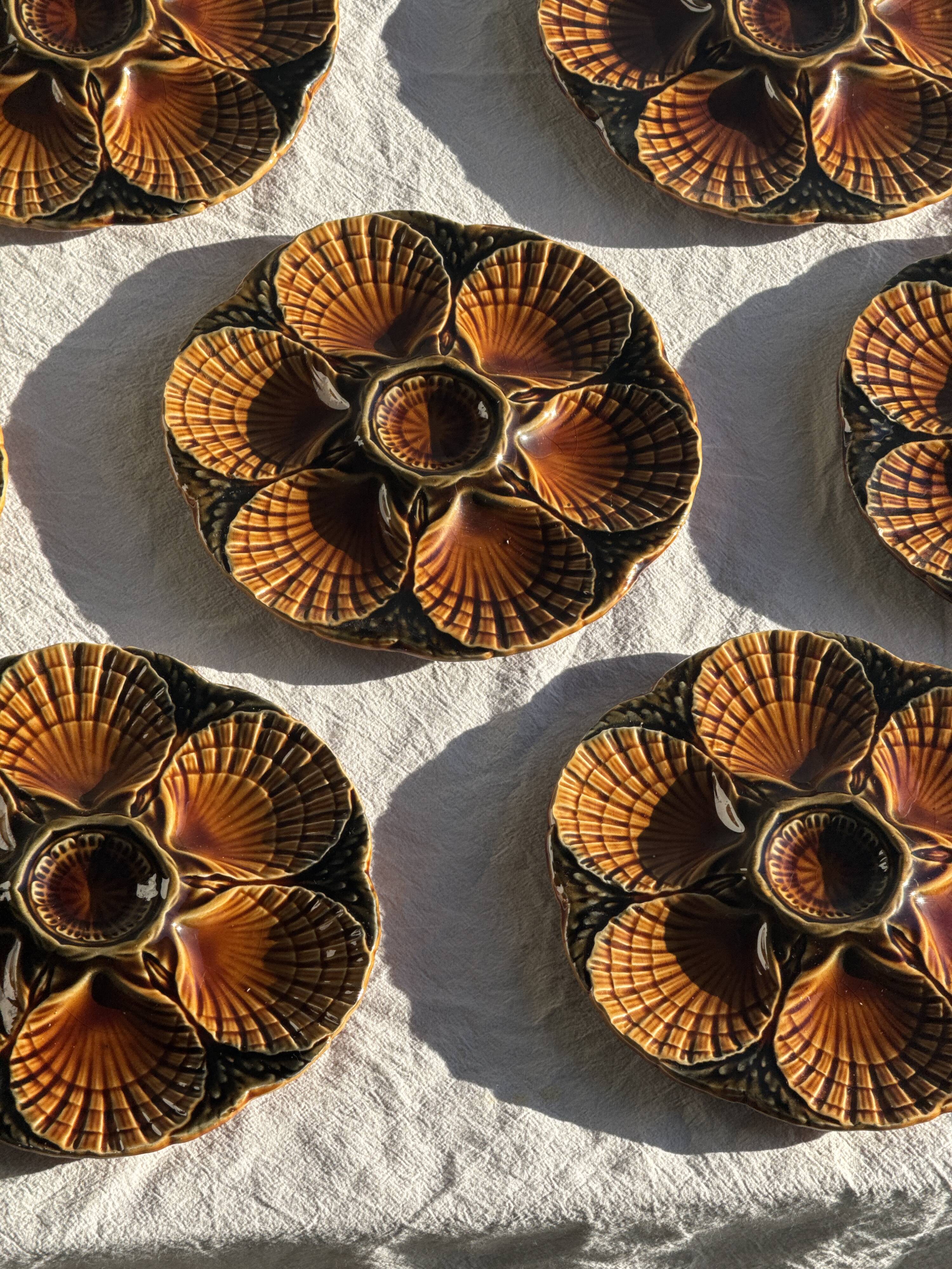 Set of 12 oyster or shell plates in glazed brown ceramic D