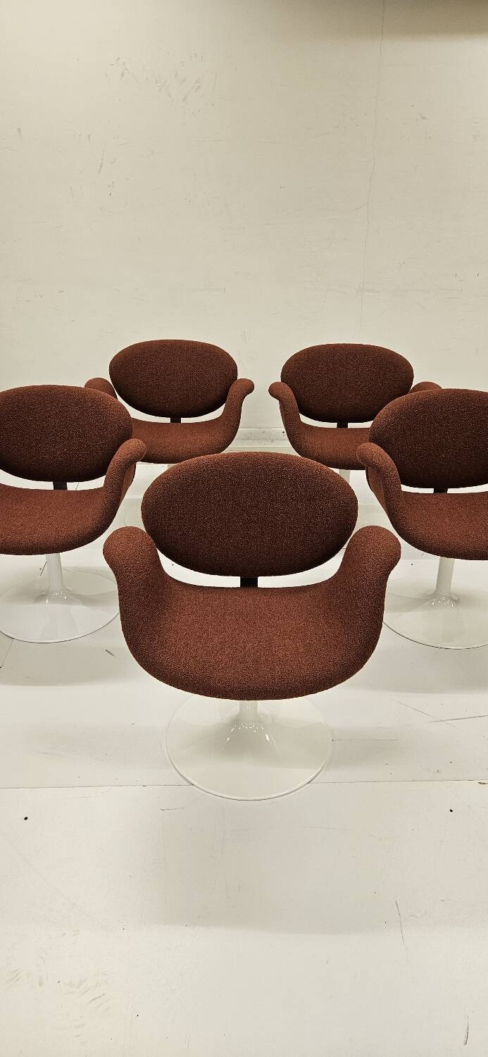 Ensemble de chaises Pierre Paulin Little Tulip par Artifort