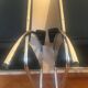 Paire de fauteuils modernistes années 50