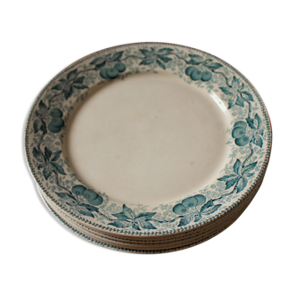 Set 6 plates flat Cherries blue Badonviller