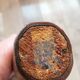 Vintage tennis racket