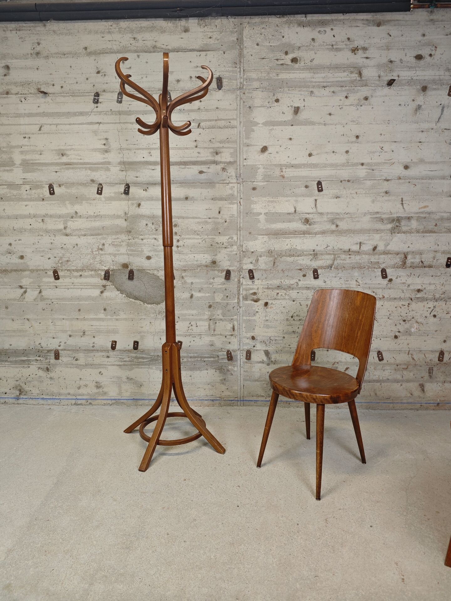 Porte manteau perroquet Baumann 