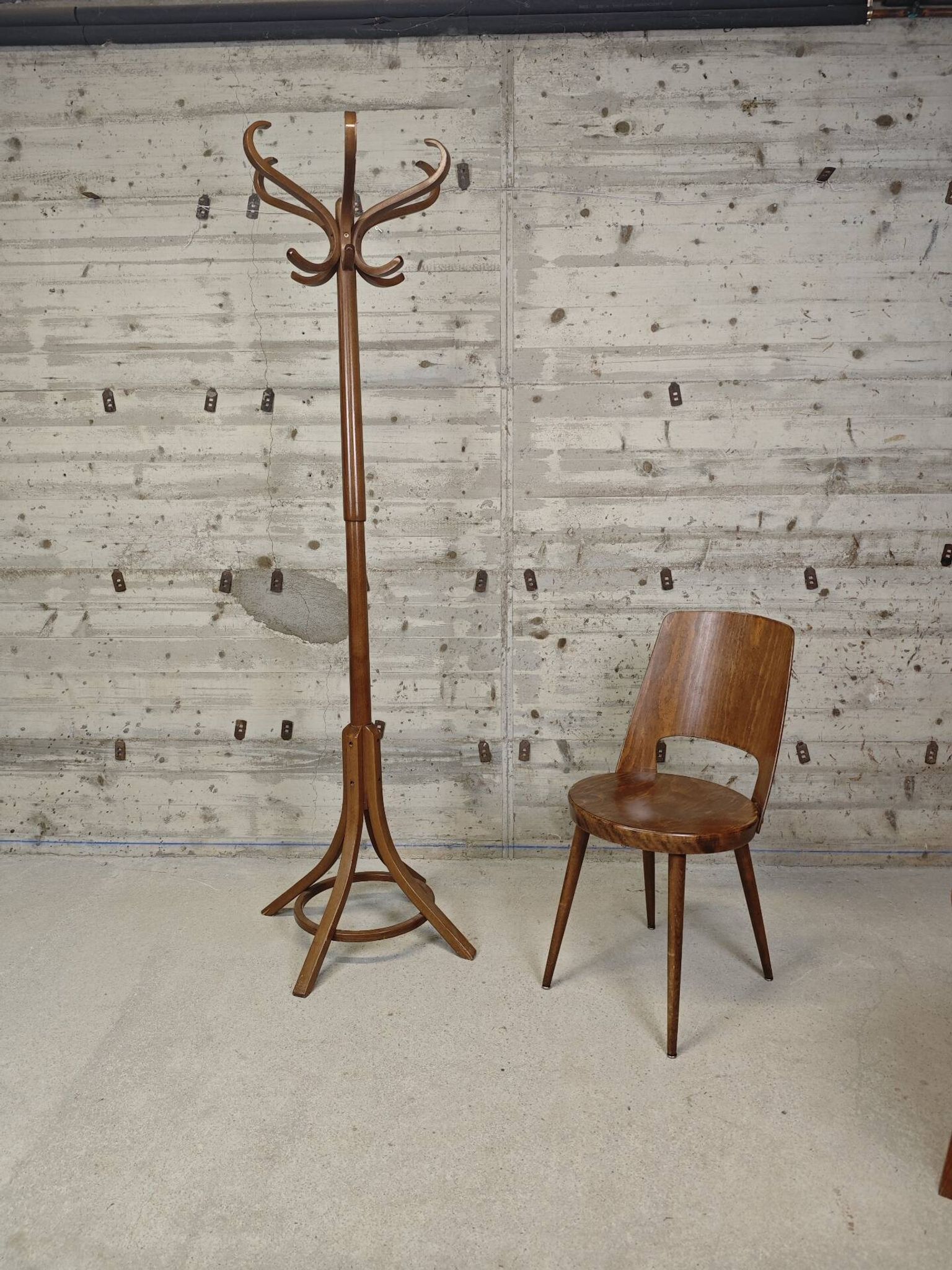 Porte manteau perroquet Baumann 