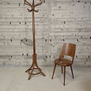 Porte manteau perroquet Baumann 