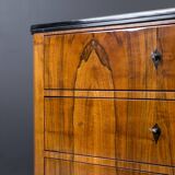 Set of 2 Identical Biedermeier Chests of Drawers, Germany, 19th Century, Wa