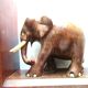 Art Deco bookends wooden elephants and bones on wooden terrace, book shape