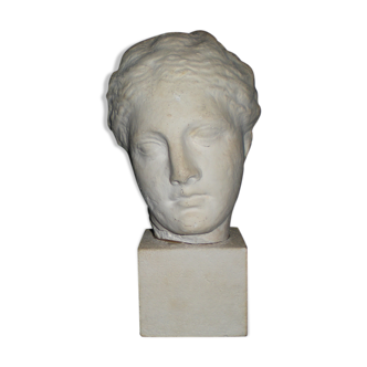 Bust beautiful stranger