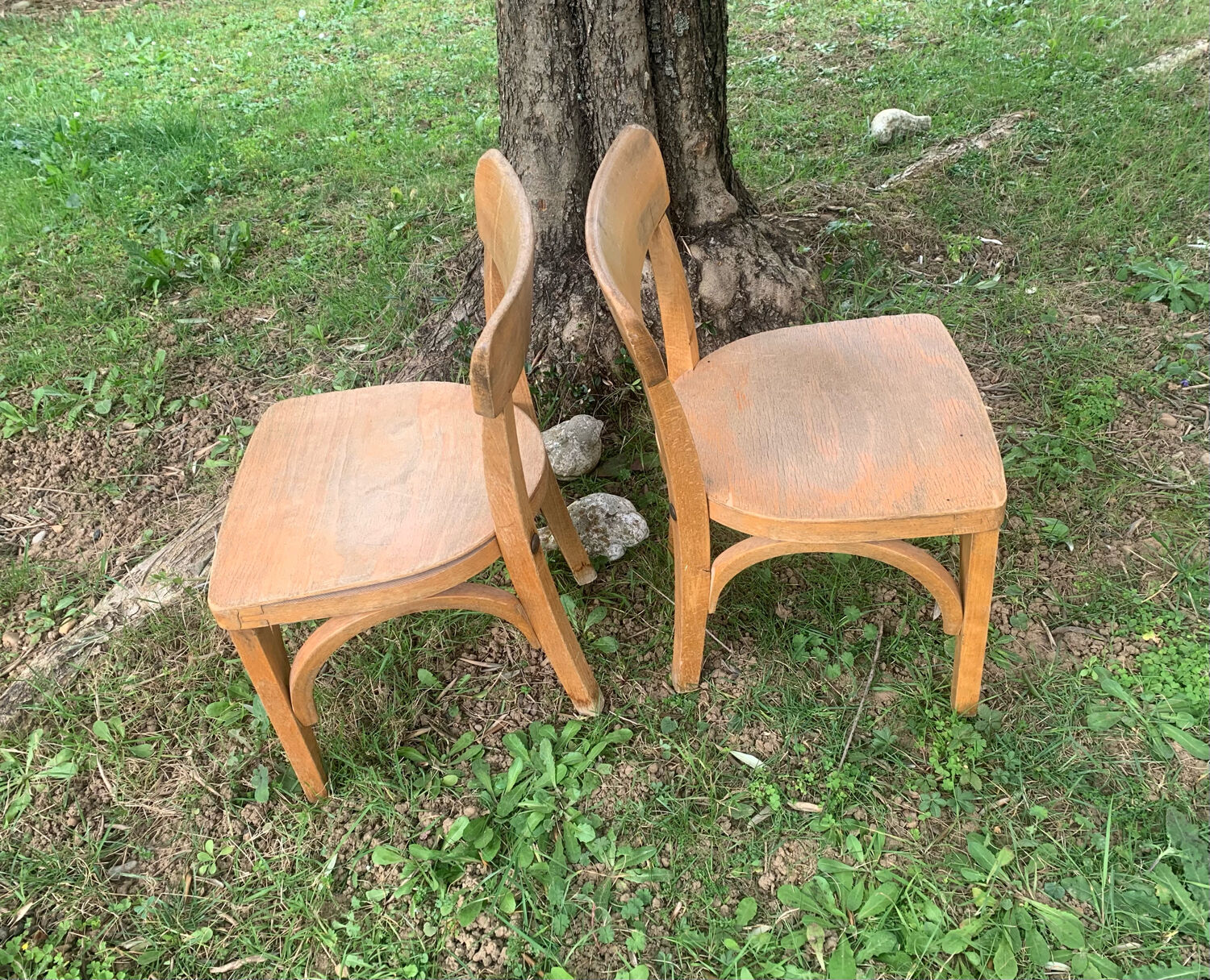 Stella school chairs