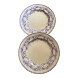 Two plates serve lavender-colored iron earth.