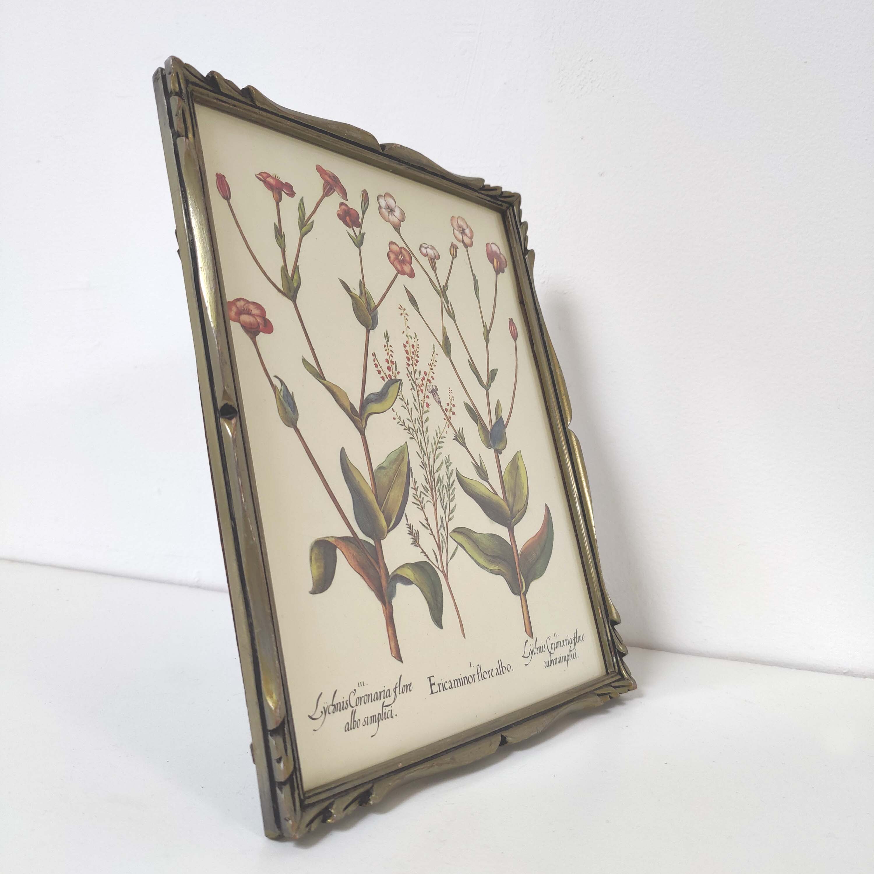 Botanical board wildflowers frame wood to pose