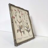 Planche de botanique fleurs sauvages cadre bois à poser