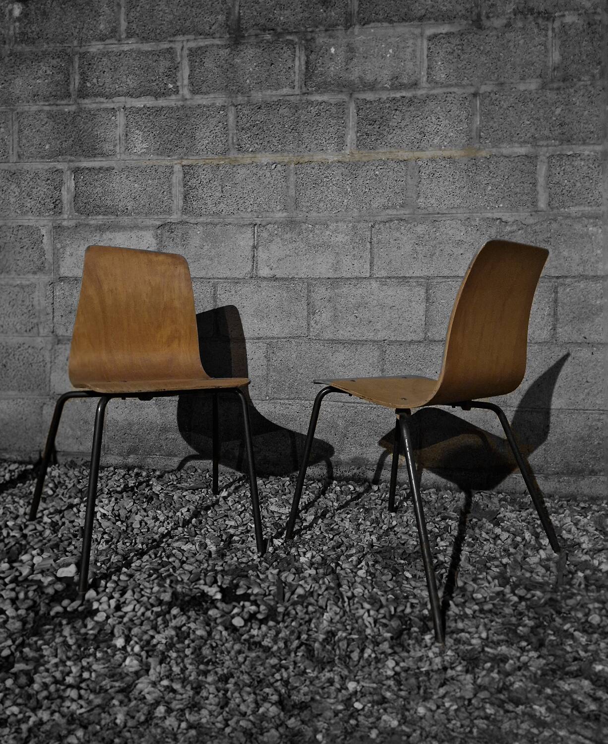 Suite de 6 Chaises Pierre Guariche modèle Papyrus Édition Steiner 1950