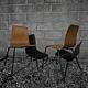 Suite de 6 Chaises Pierre Guariche modèle Papyrus Édition Steiner 1950