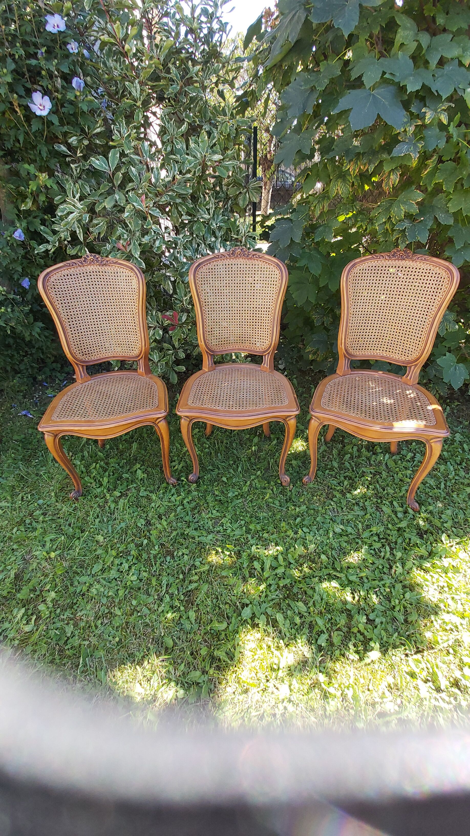 Set of three regency cane chairs
