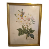 Wall frame