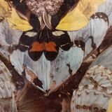 Vintage Brazilian inlaid tray Morpho butterfly wings, 1930s