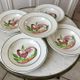 Lot of 5 hollow plates digoin sarreguemines model "rooster" years 40-50