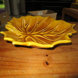 Fruit cut "leaf"