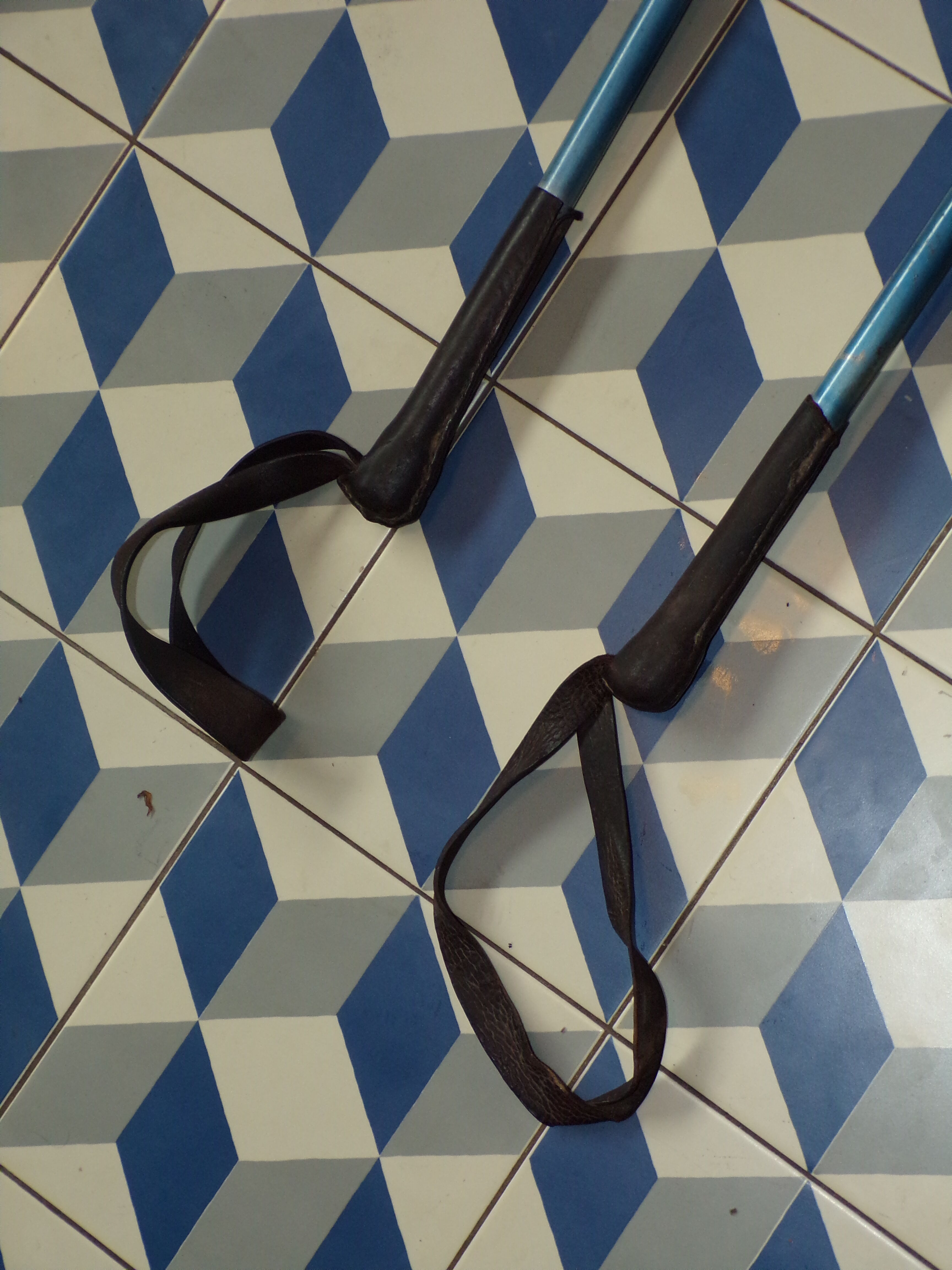 Vintage metal and leather ski poles