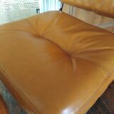 Deux chaises, roche bobois, années 70