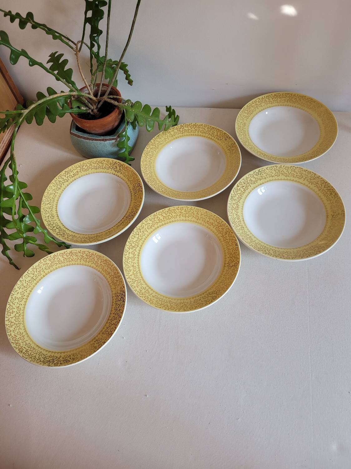 Set of 6 deep plates Badonviller