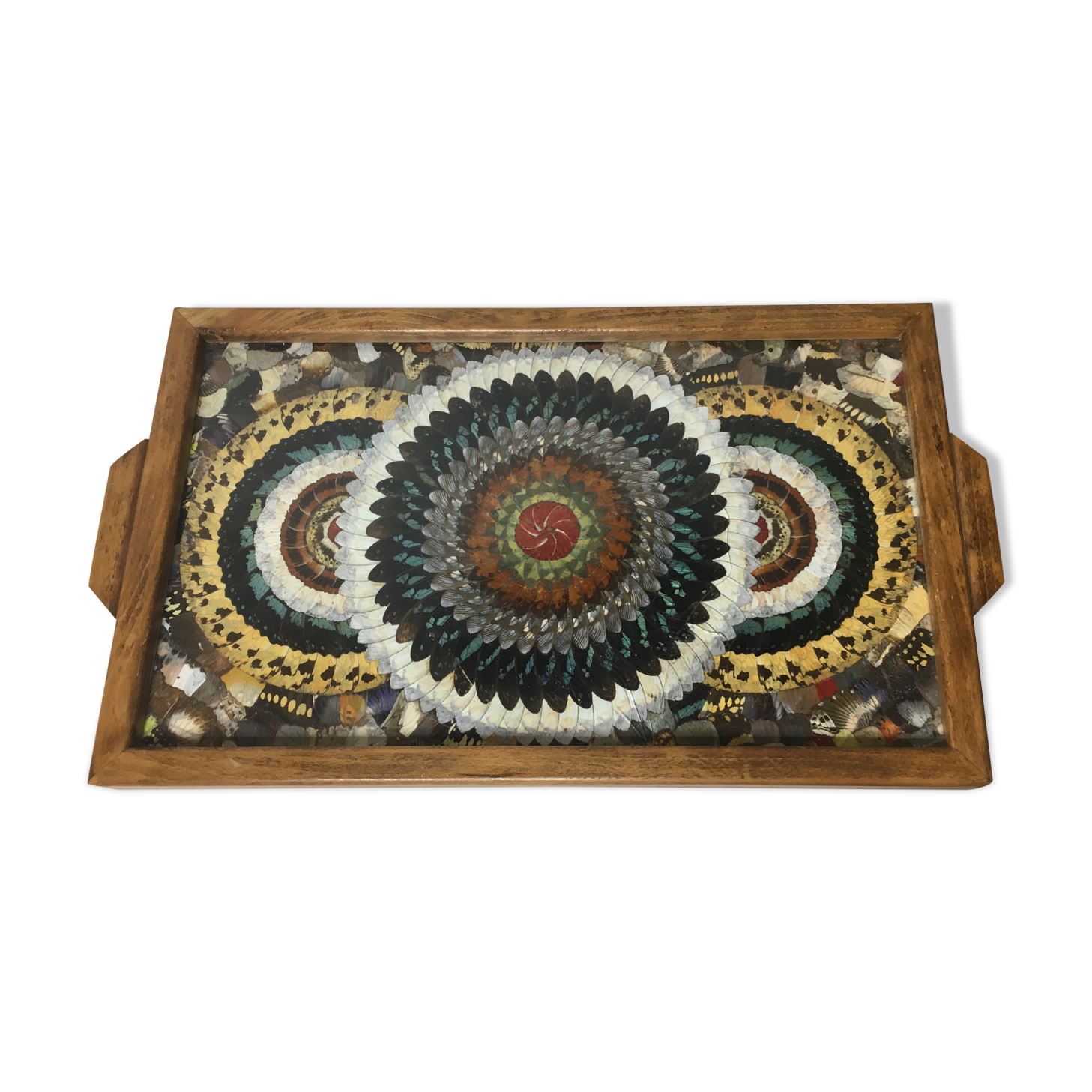 Craft butterfly wings service dish