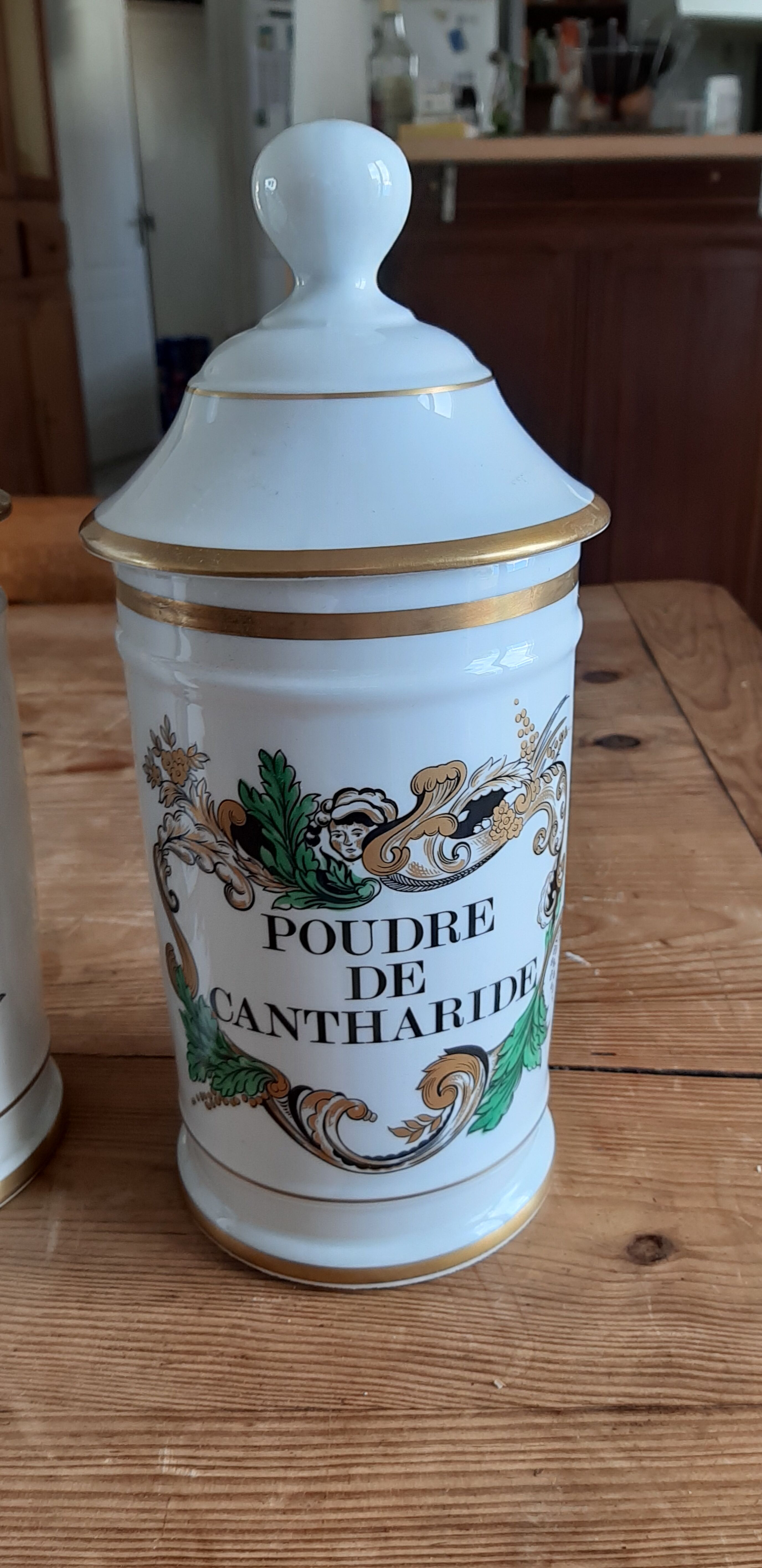 Pair of pots a pharmacy in porcelain