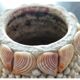Shell vase