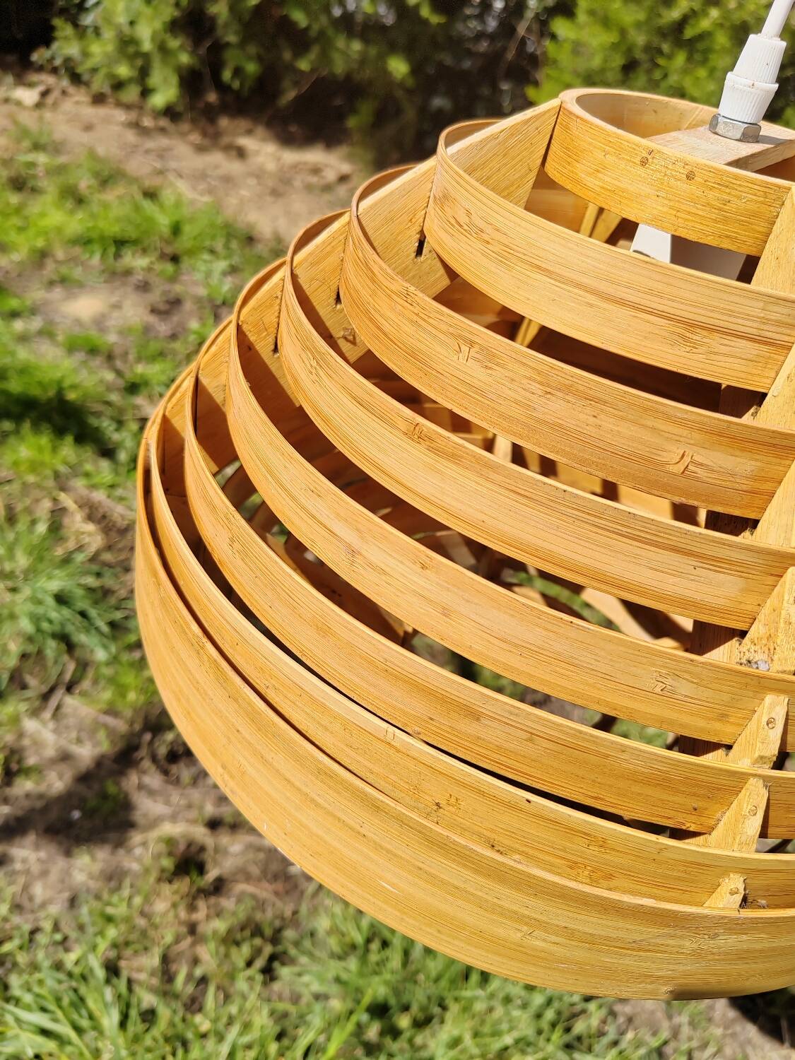 Scandinavian curved wood pendant light