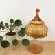 Amber glass dragée / sweet box Empoli (Italy) - Years