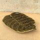 Asparagus dish in the shape of a Fern - Atelier d'art Sarreguemines
