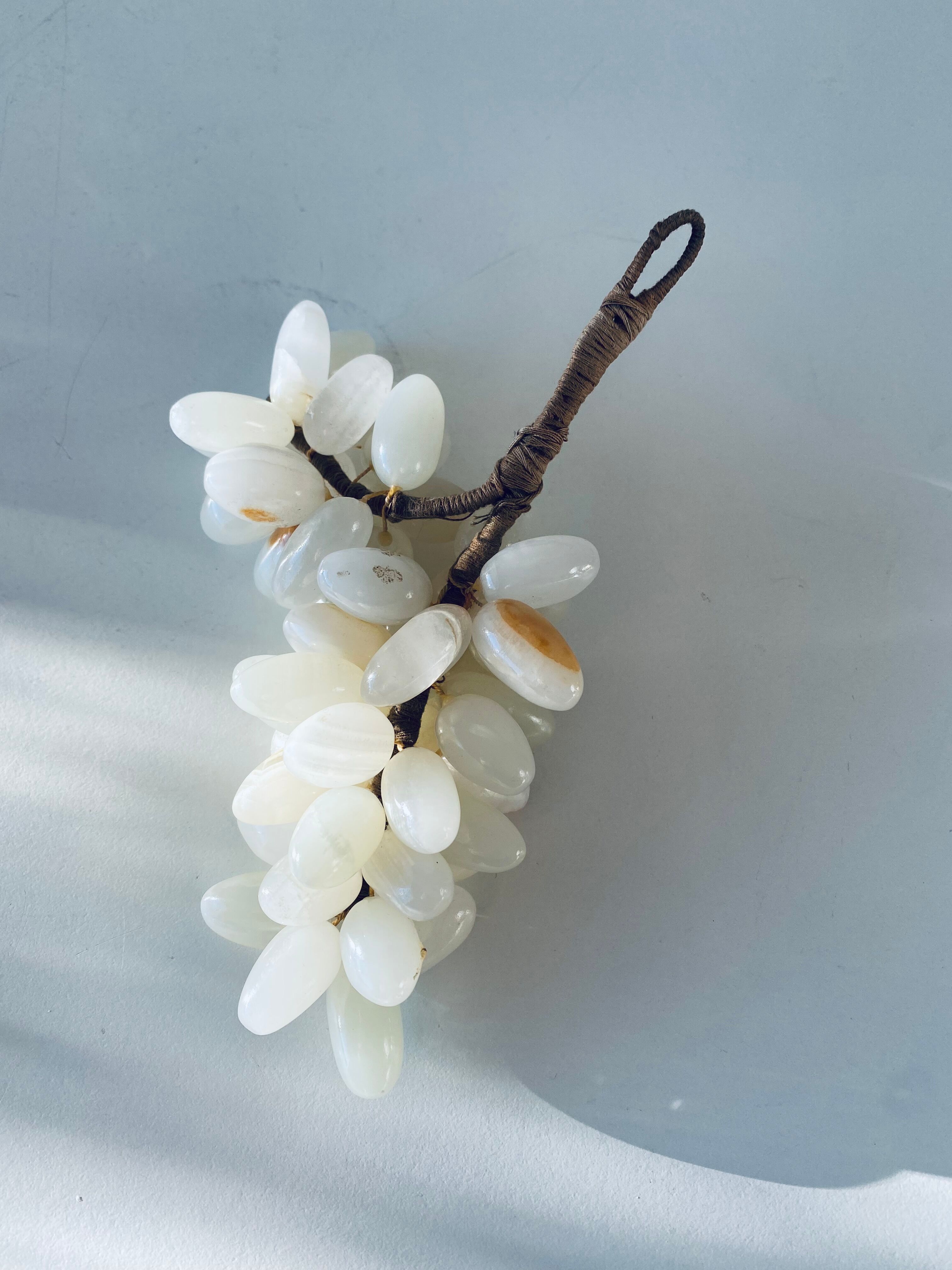 Bunch of onyx grapes