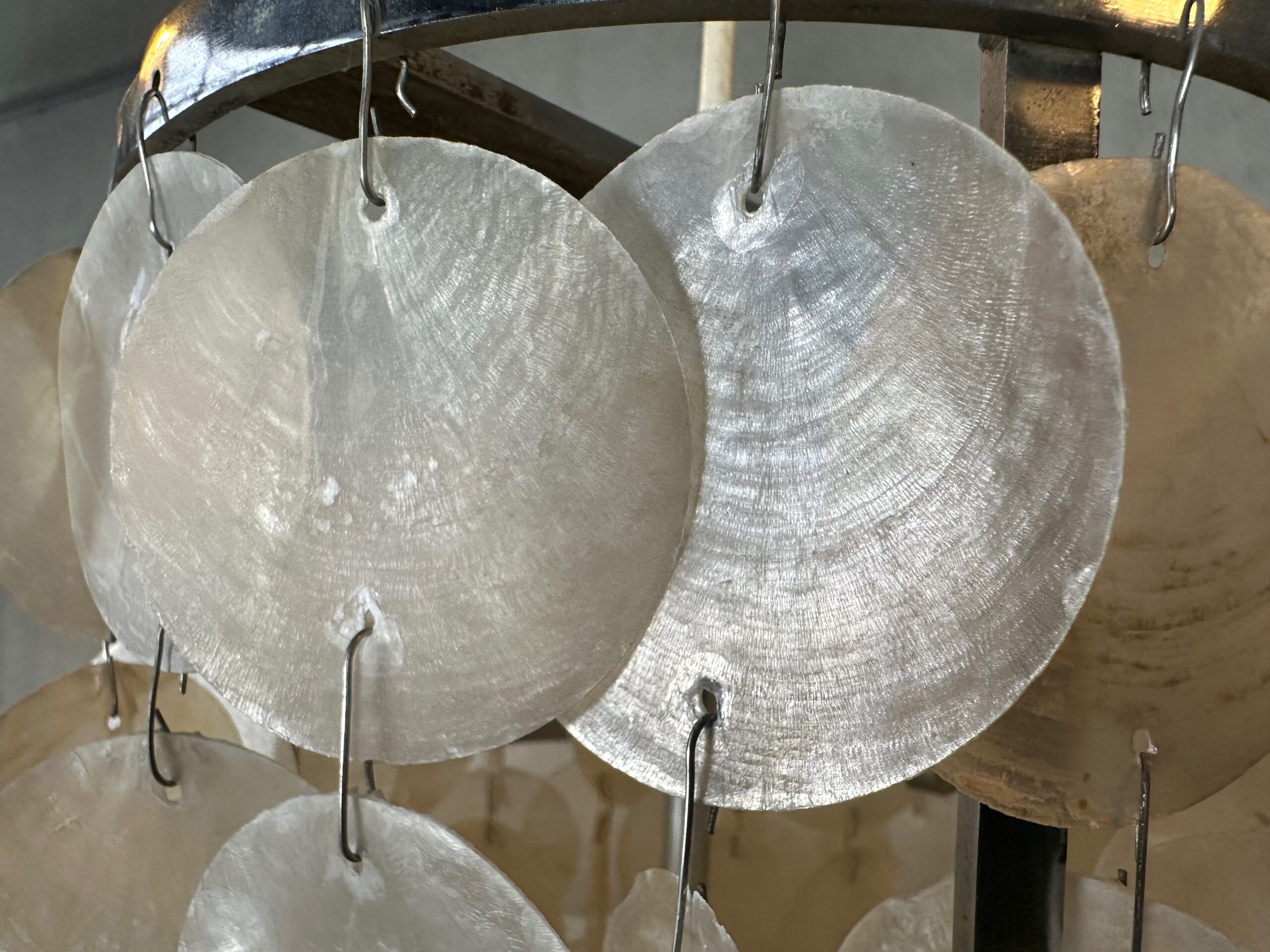 Vintage XL shell chandelier