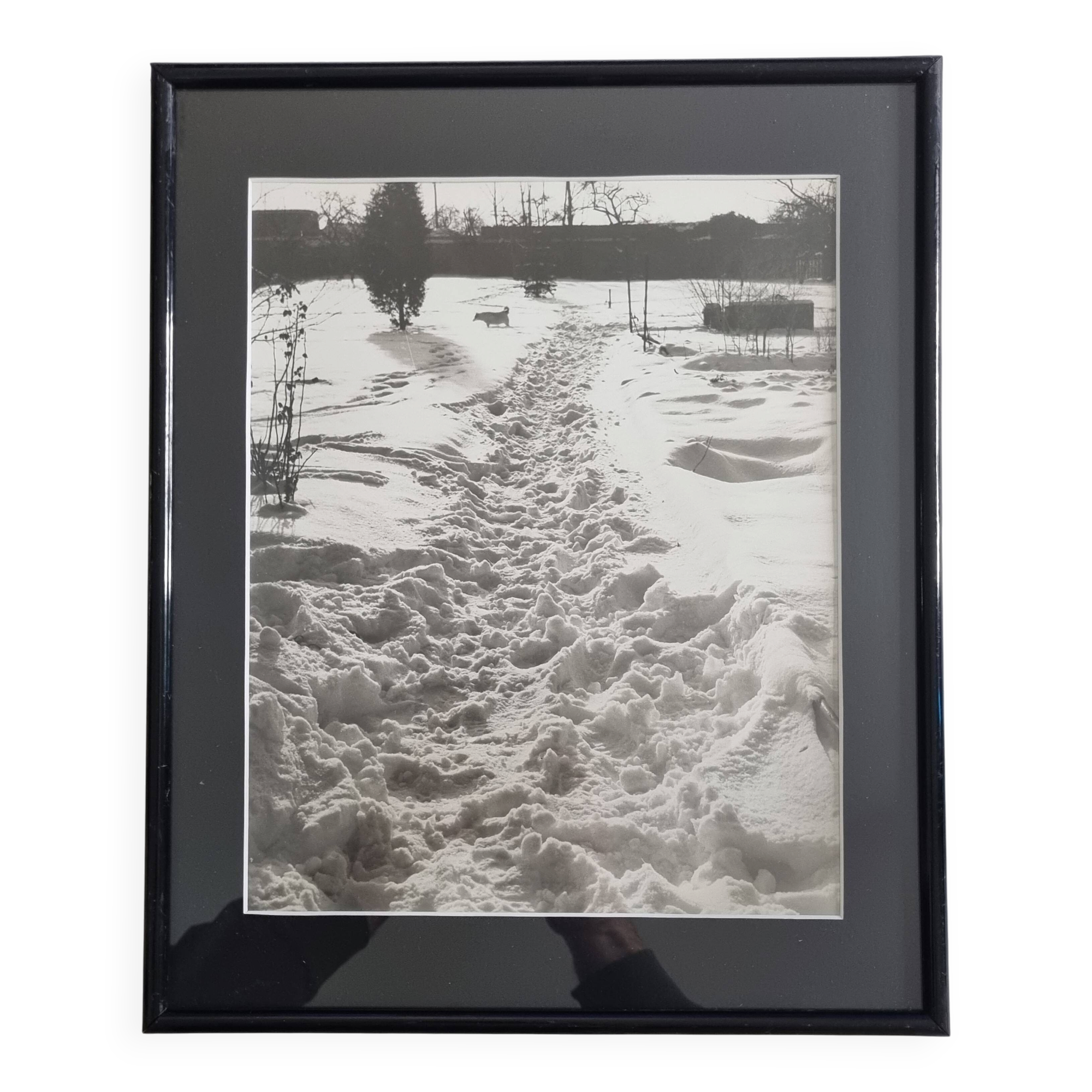Vintage silver print of a snowy landscape with a dog, framed 32x39 cm.