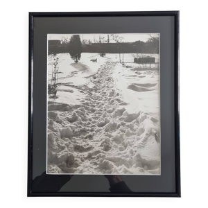 Photographie argentique - chien