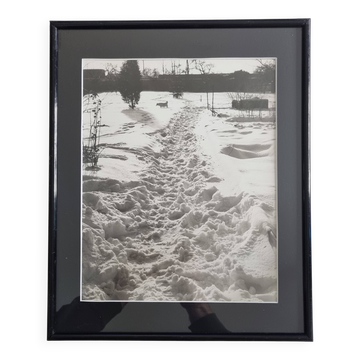 Photographie argentique vintage paysage enneigé avec chien encadré 32x39 cm