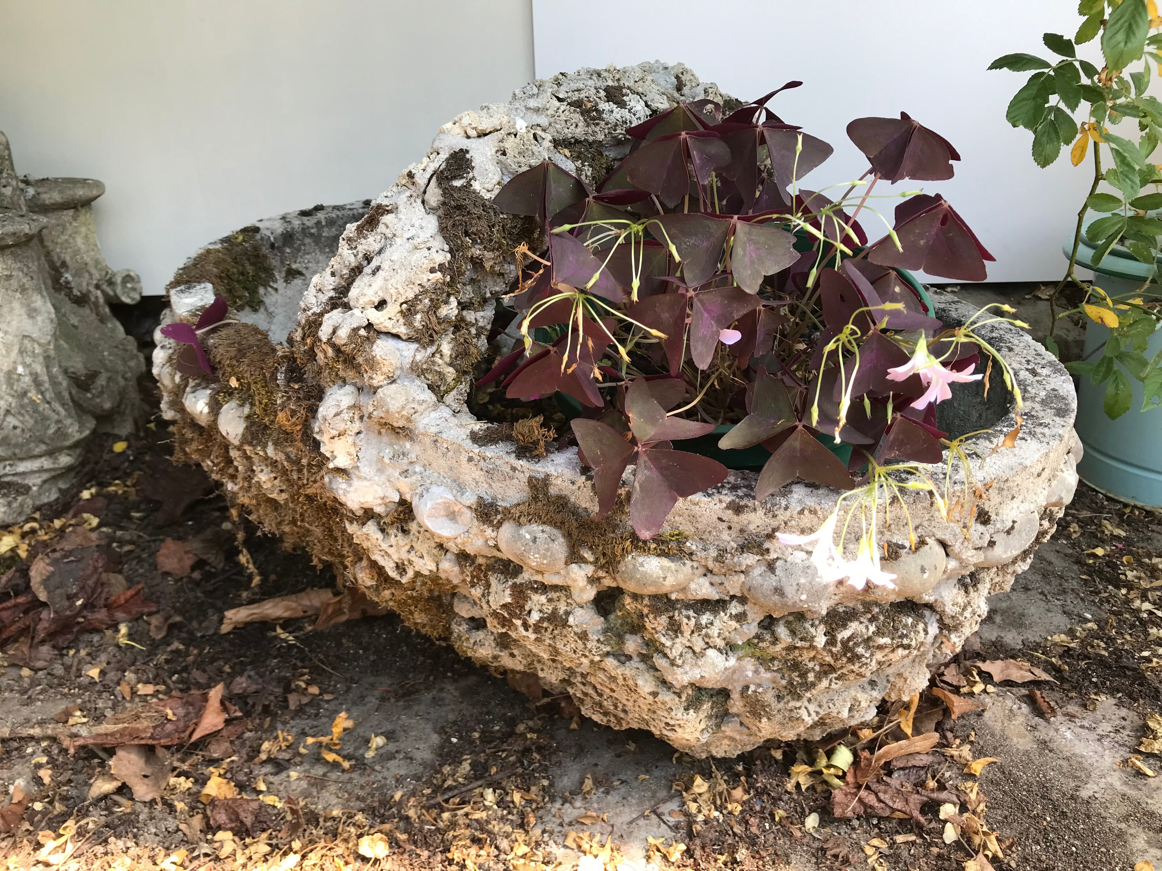Jardinière panier en ciment, vers 1950