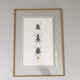 Illustration insectes n°2, série limitée