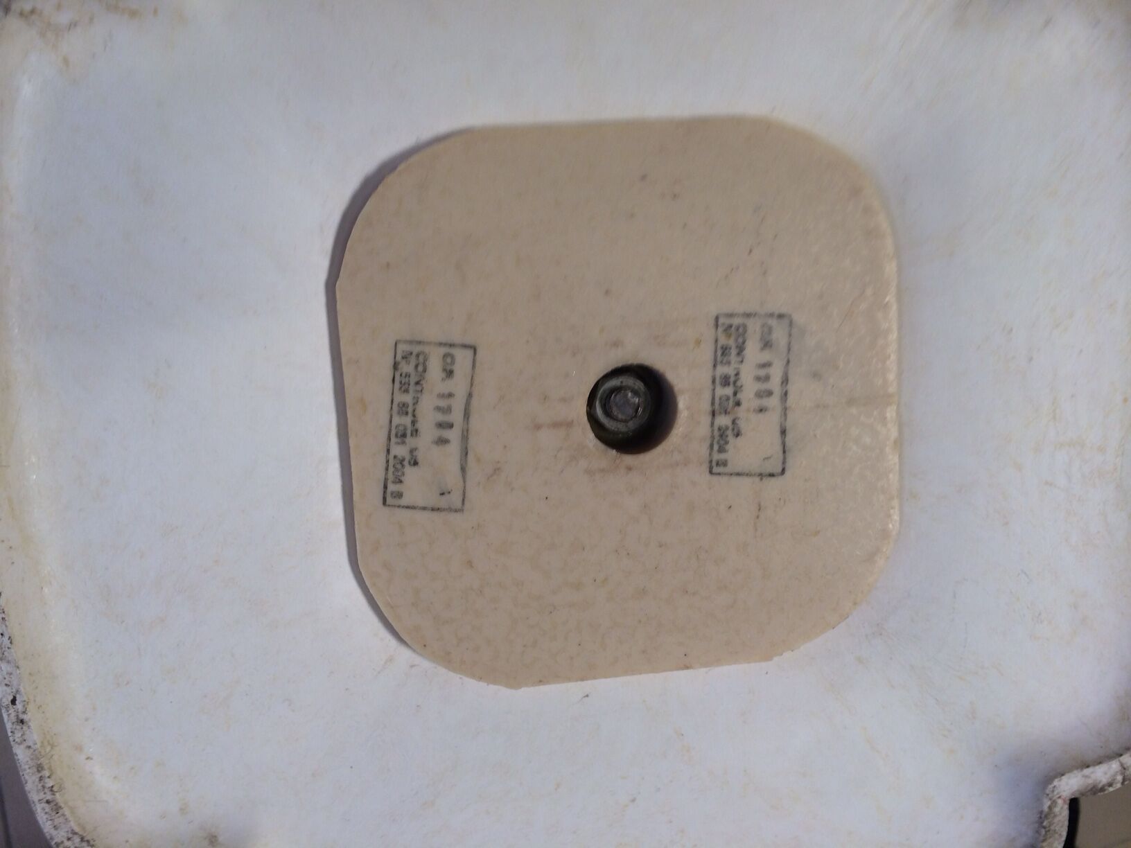 Tulip chair by Gauthier 70