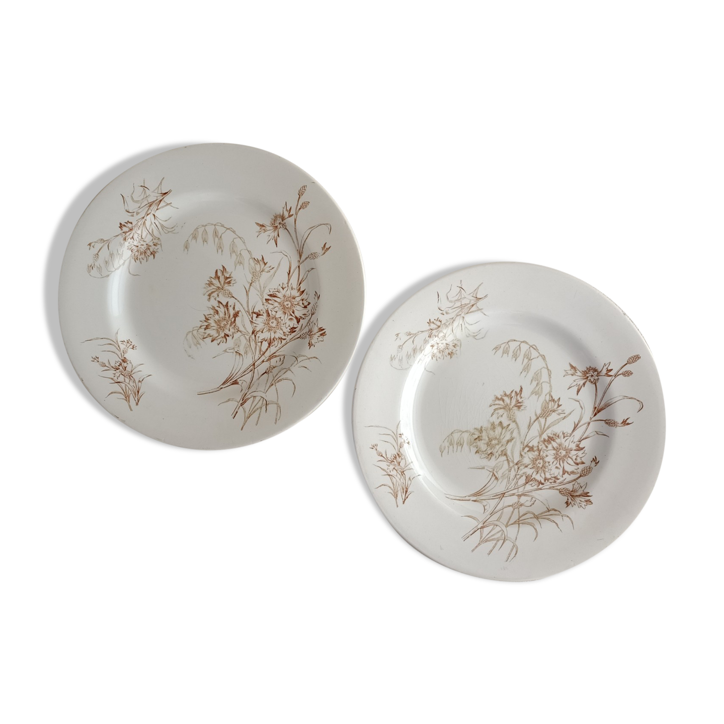 2 plates earth of iron Lunéville